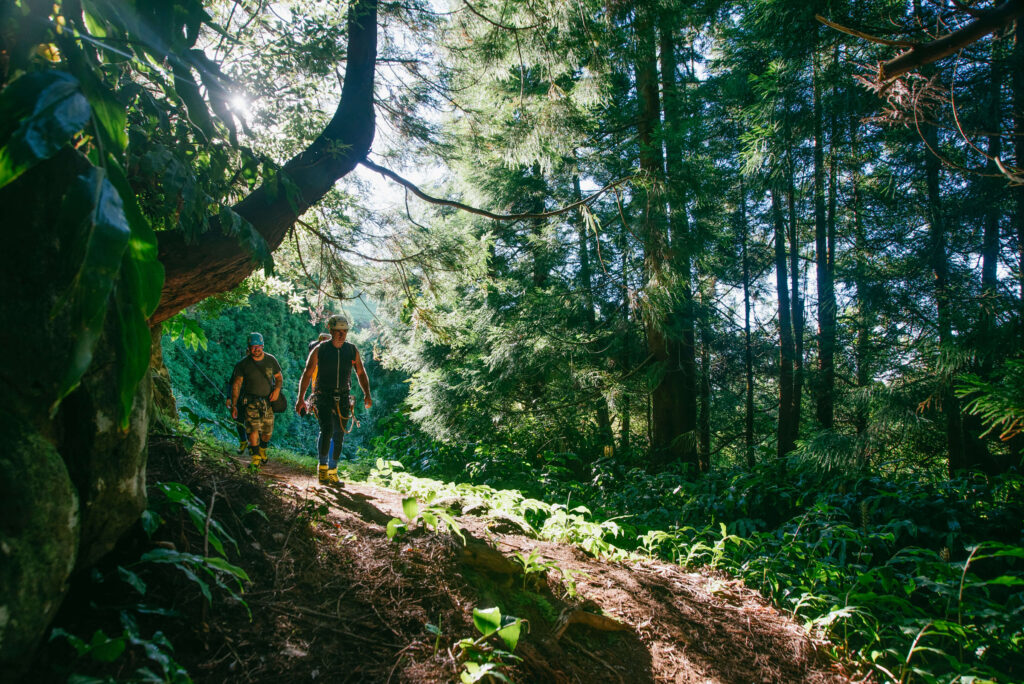 Home 6 Hiking through the woods in São Jorge island, Azores