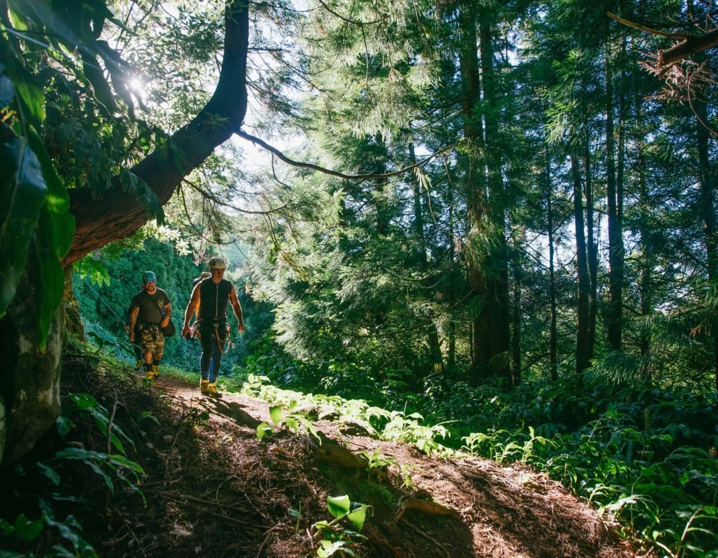 Passeios Pedestres 7 Hiking through the woods in São Jorge island, Azores